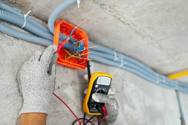 Best Electrician for Home Renovation  in Ddanelle, AR